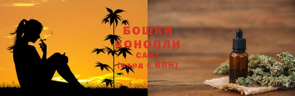 сатива Богородицк