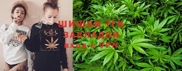 сатива Богородицк